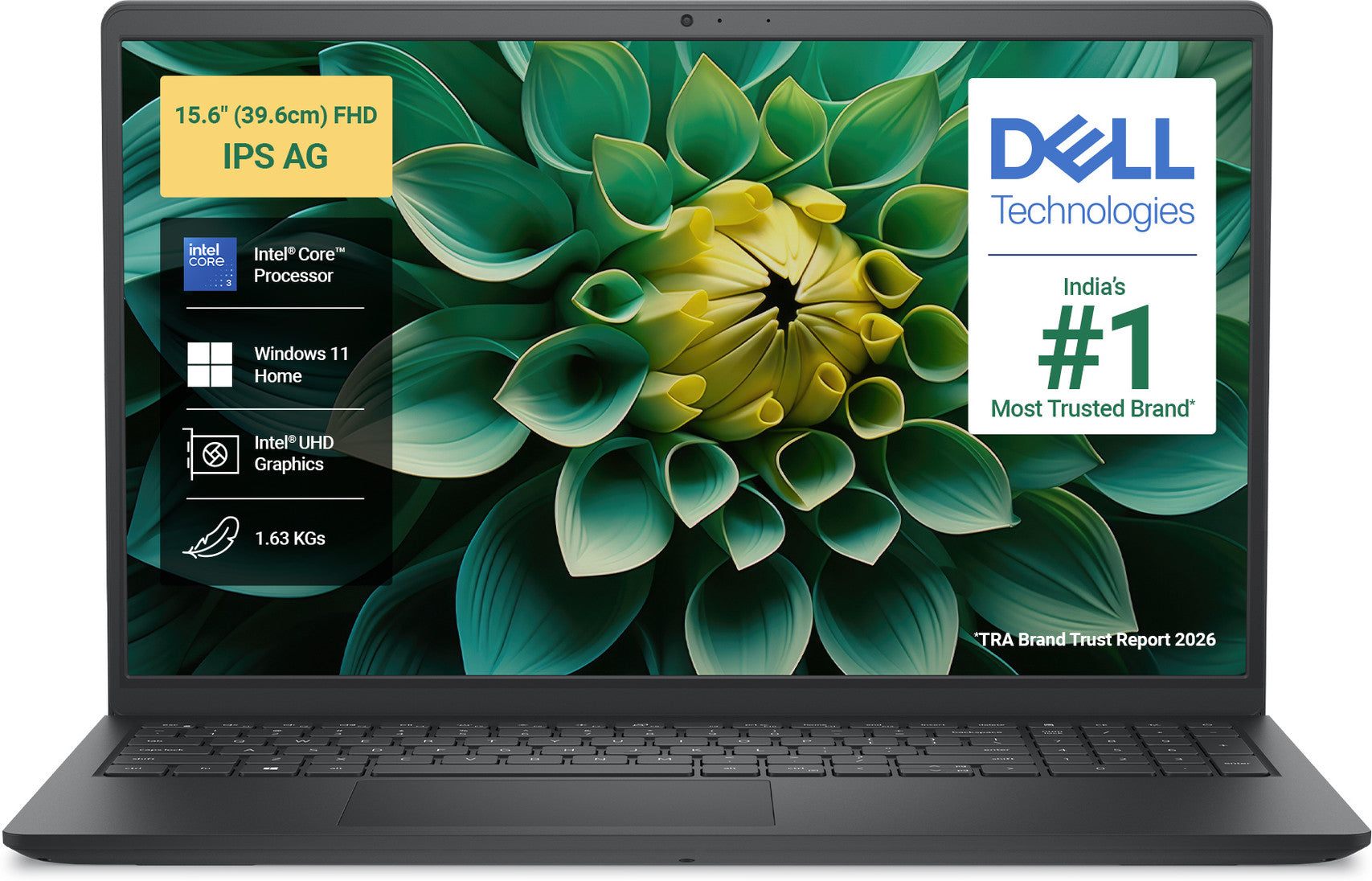 Dell 15 Core 3 100U 8GB/512GB