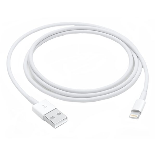 Apple Lightning to USB Cable (1M)