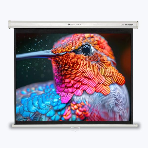 ZEBRONICS PSH120A Projector Screen