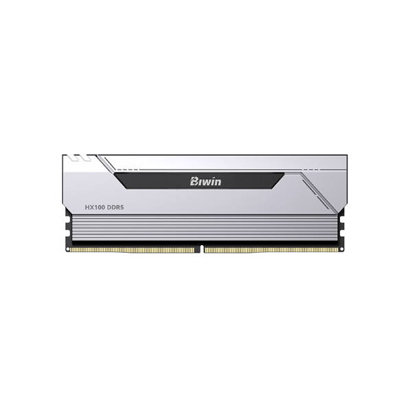 Biwin Black Opal HX100 48GB (2x24GB) DDR5-6000MHz CL28-36 UDIMM Kit (Silver)