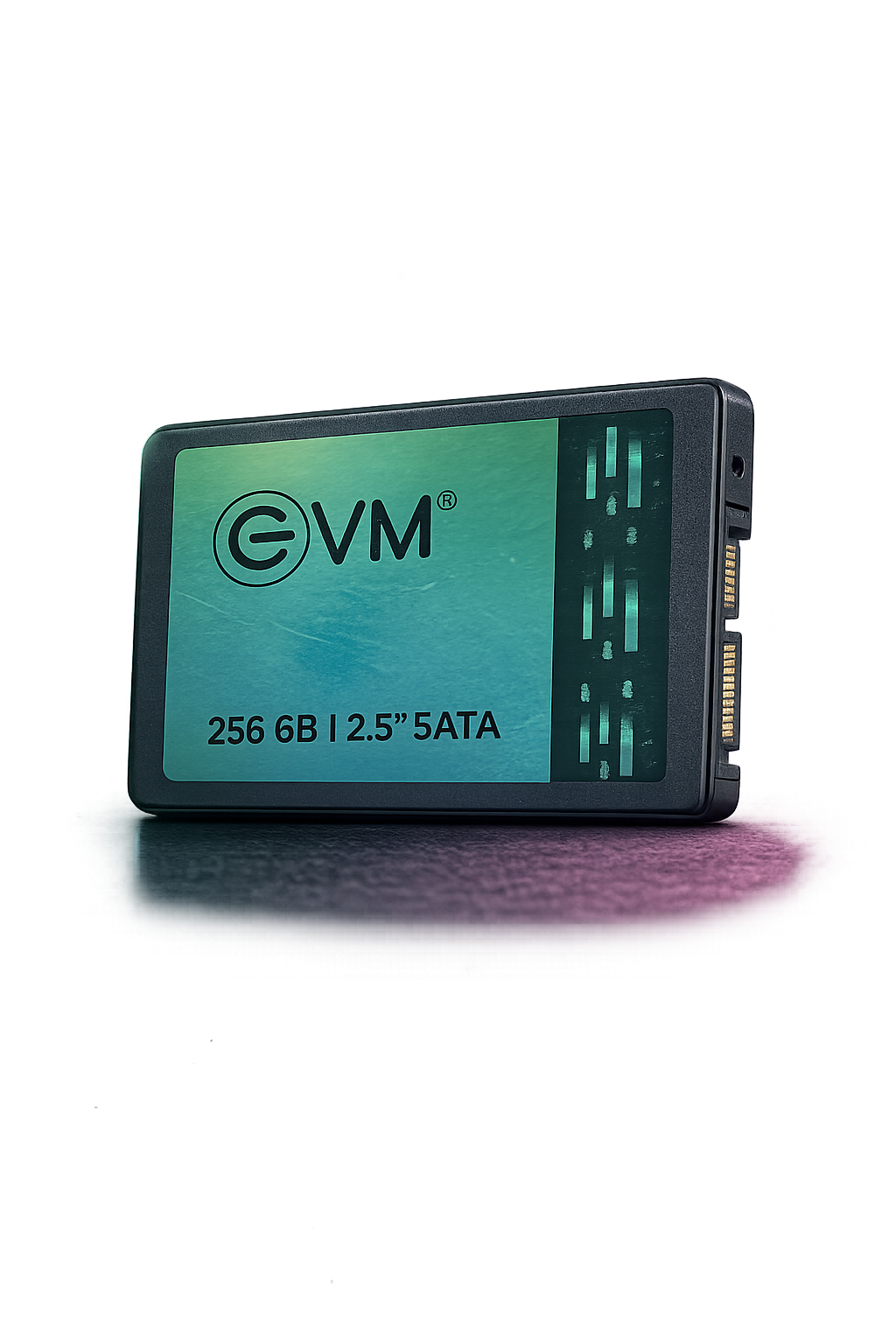 EVM 2.5” SATA SSD 256GB